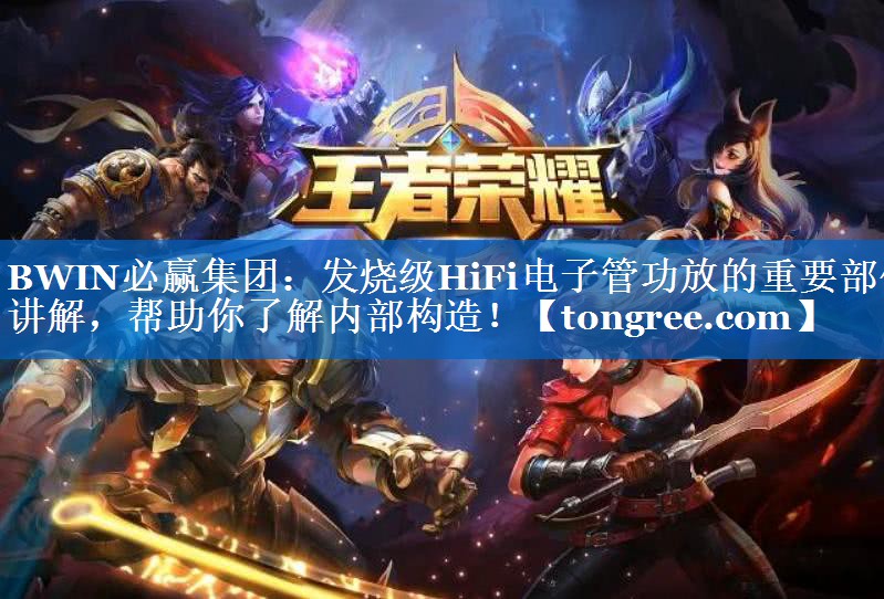 BWIN必赢集团：发烧级HiFi电子管功放的重要部件讲解，帮助你了解内部构造！
