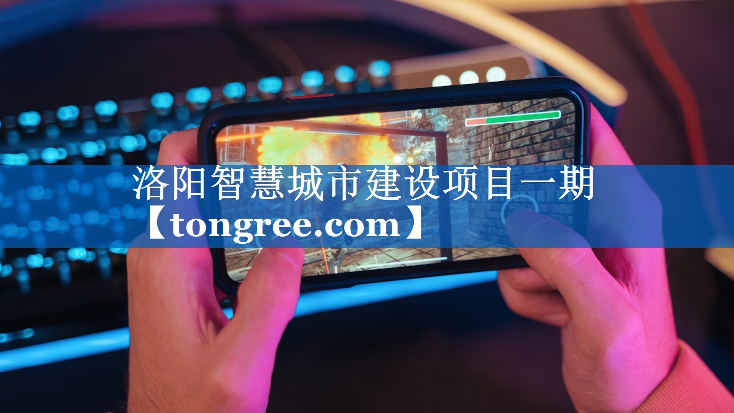 洛阳智慧城市建设项目一期