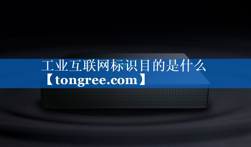 工业互联网标识目的是什么