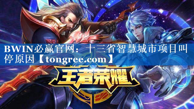 十三省智慧城市项目叫停原因