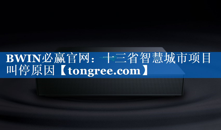 十三省智慧城市项目叫停原因